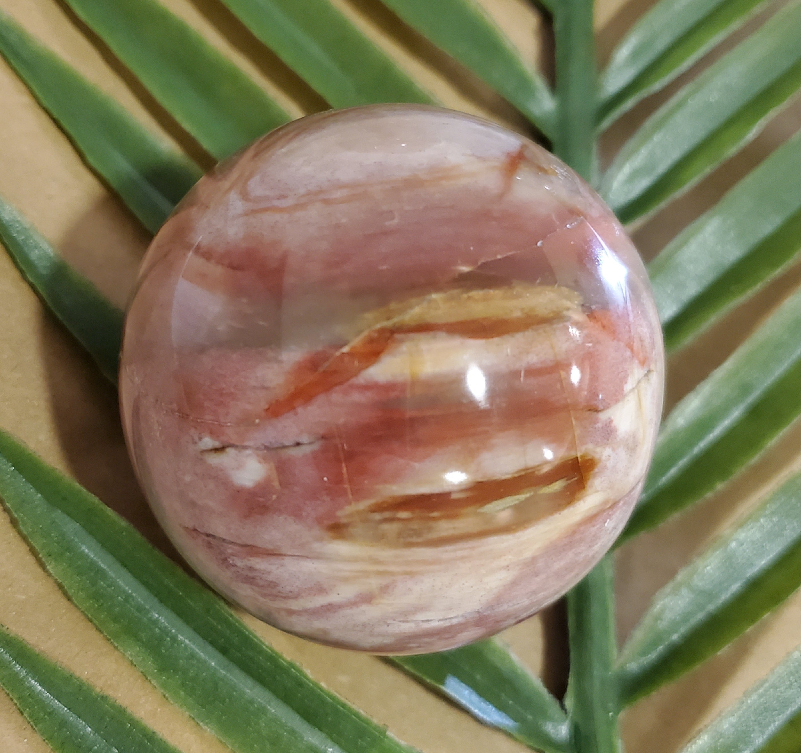 Jasper mix Petrified Wood Sphere