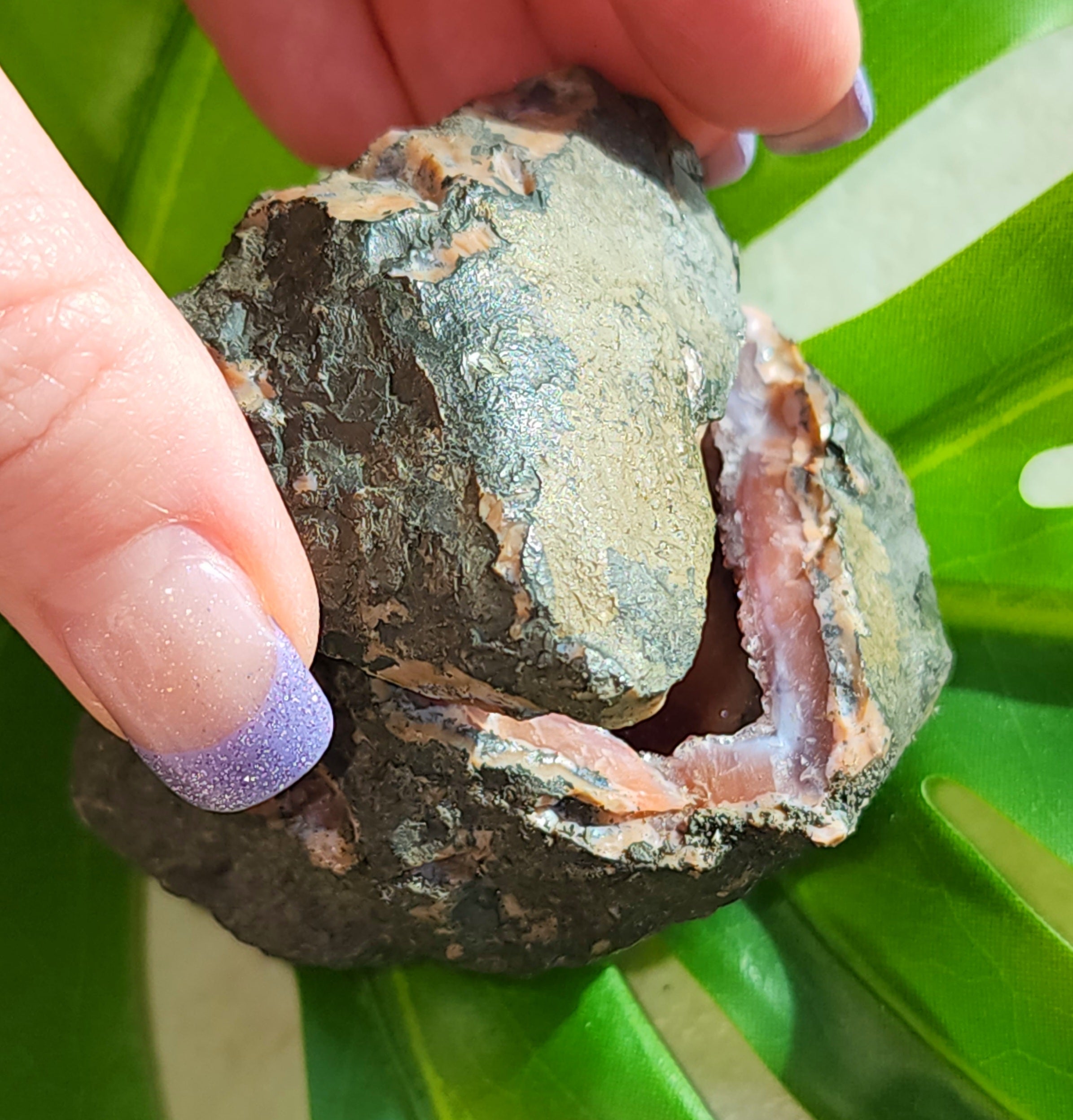 Stalactite Agate Quartz pair